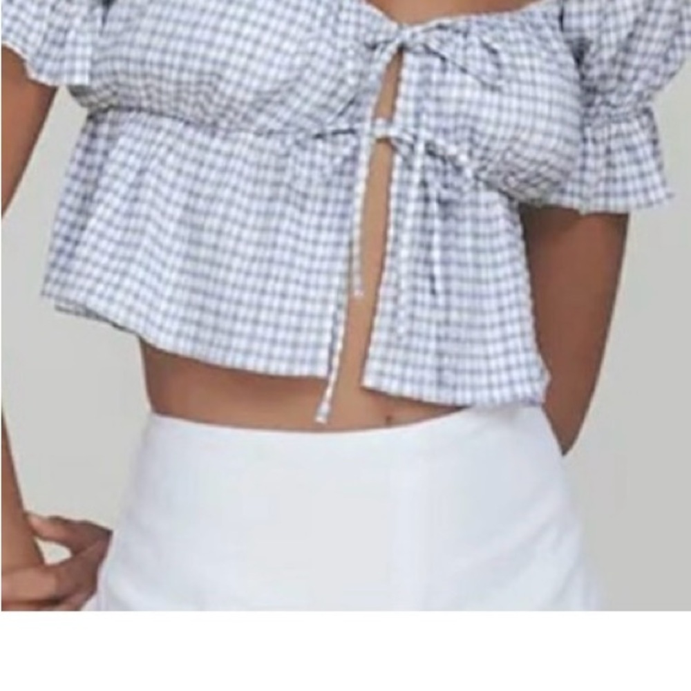 Reformation Blue and White Gingham Tie-Front Crop Top